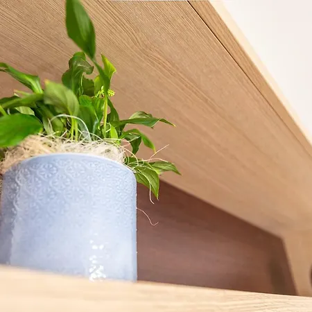 Casa Goloritze Lägenhet